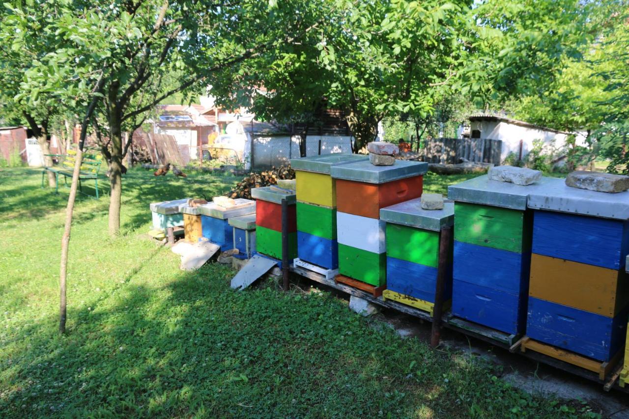 Apartman Rudnik Vrdnik Exterior foto